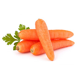 Морковь агрохолдинг "Восход"